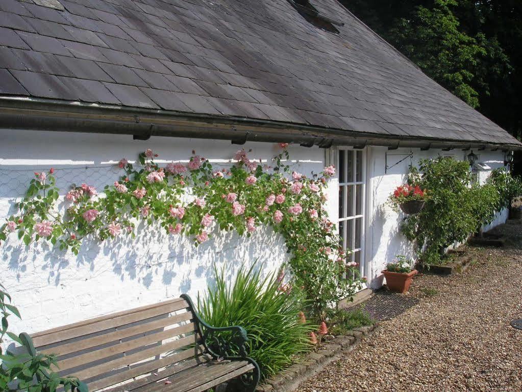 Detling Coachhouse Bed & Breakfast Maidstone Luaran gambar